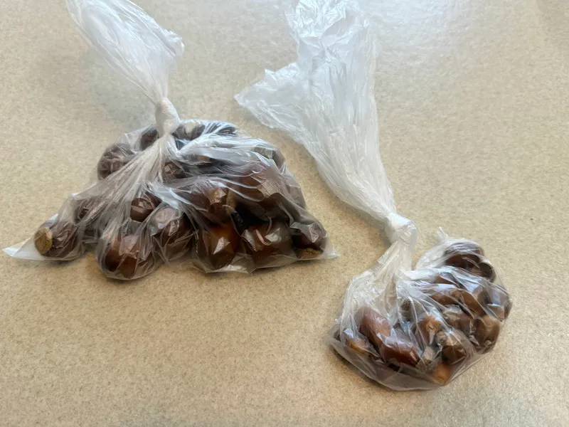 どんぐりの下処理,、袋詰め