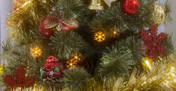 イルミネーションの光で実験?!