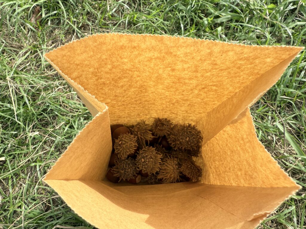 保管用の紙袋