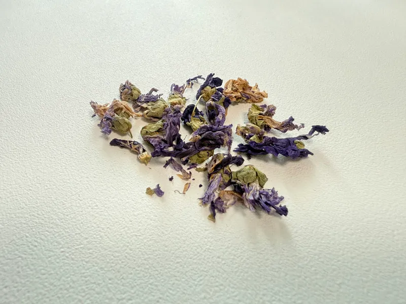 ハーブティー　マロウブルー