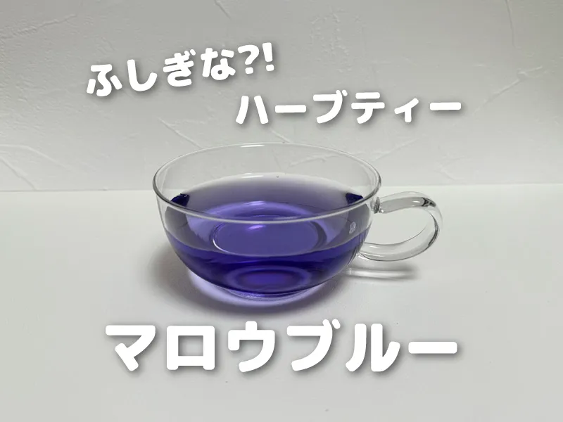 ふしぎなハーブティー！マロウブルー