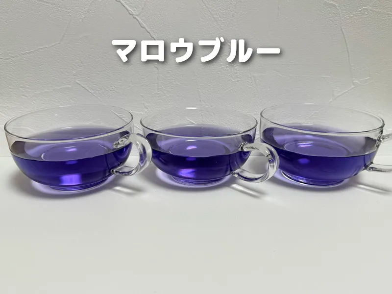 マロウブルー　実験