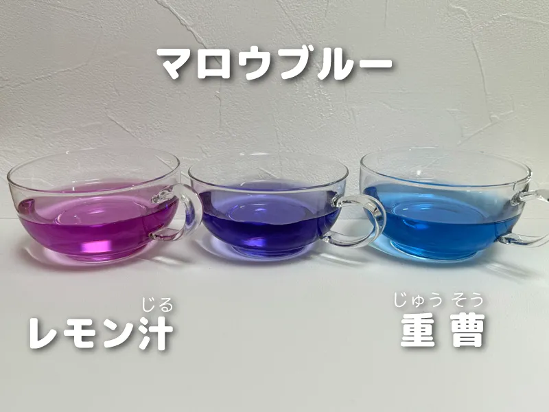 マロウブルー実験